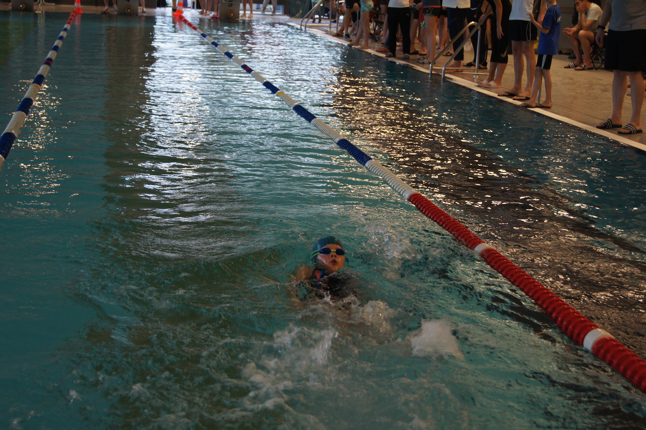 Mehr über den Artikel erfahren 1. Nikar Kids Cup in Heidelberg